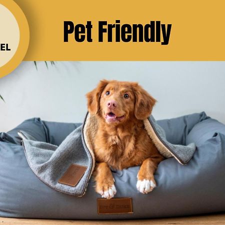 Staynfeel 03 Fatima Ngoại thất bức ảnh